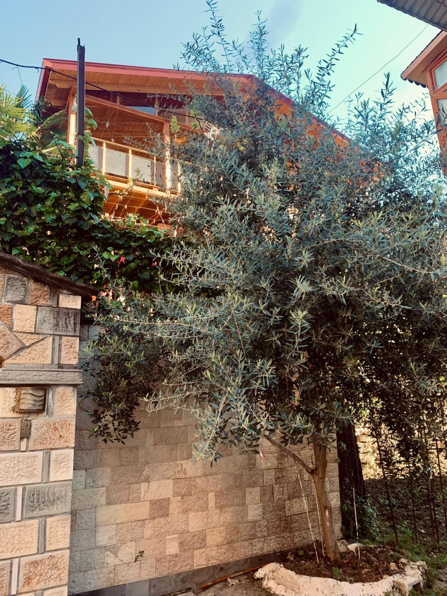 Alimeti Guesthouse Berat Bagian luar foto