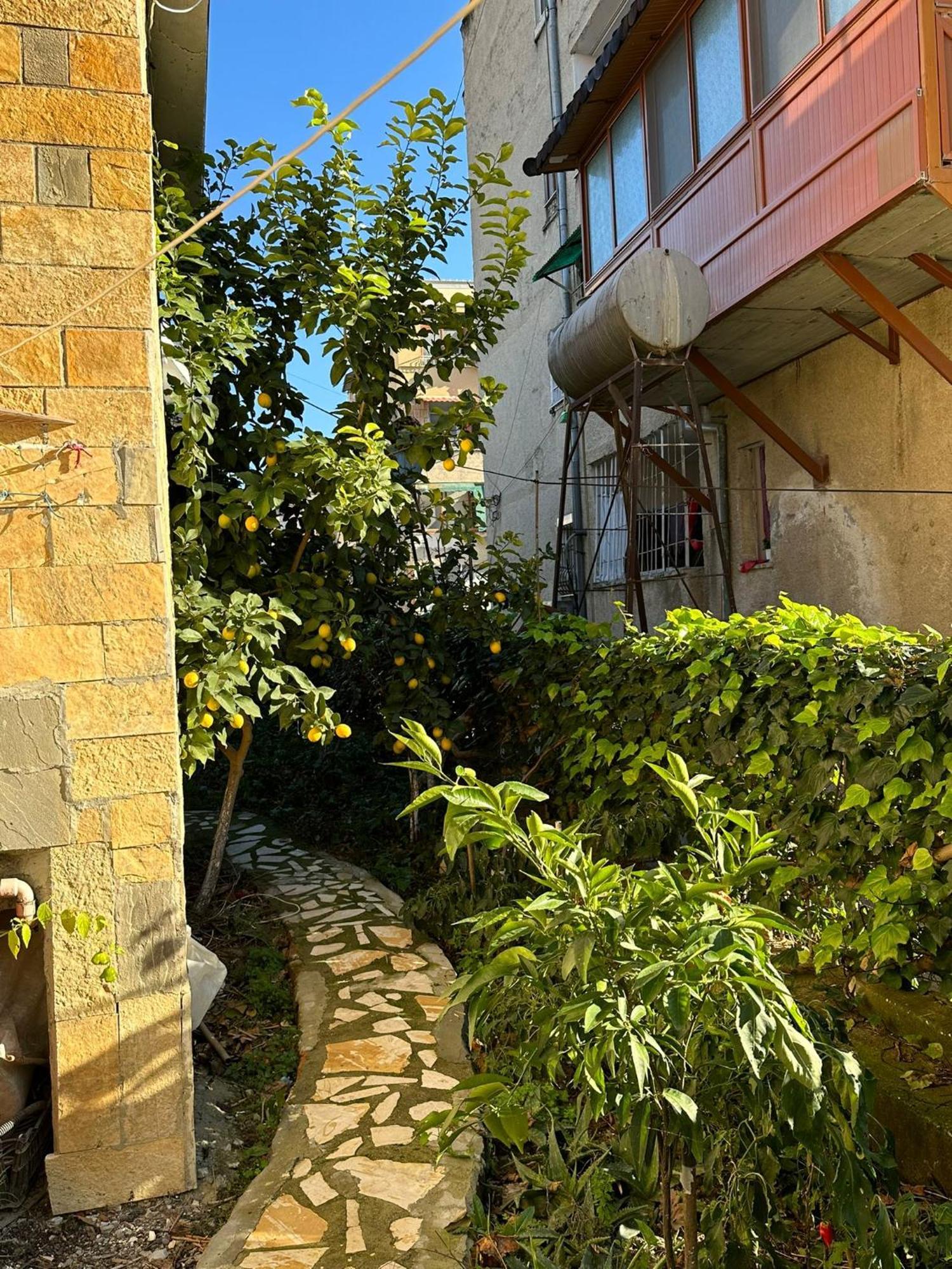 Alimeti Guesthouse Berat Bagian luar foto